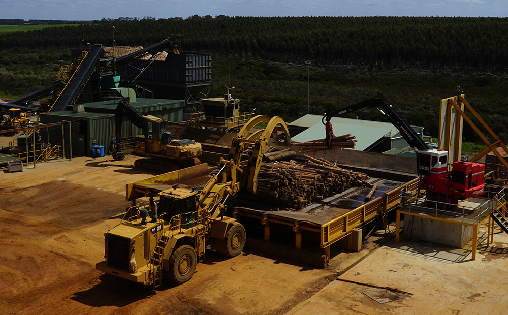 Unloading logs in the Mill