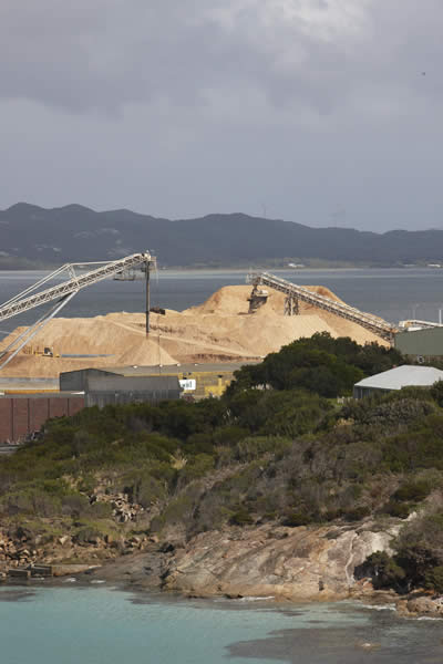 Woodchip pile at Albany Port