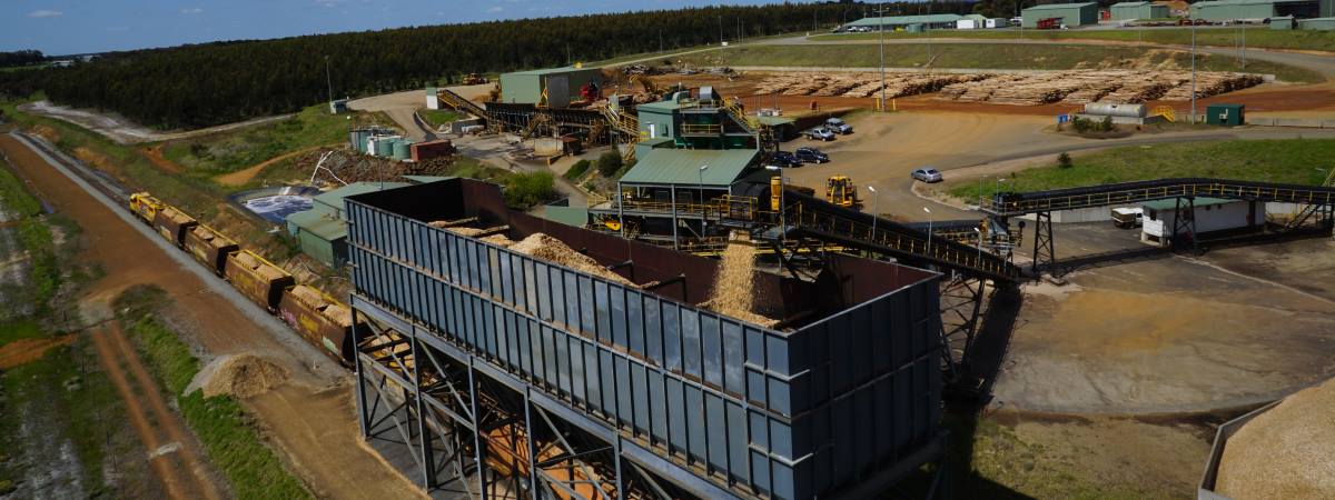 Albany Plantation Export Company Milling and Production