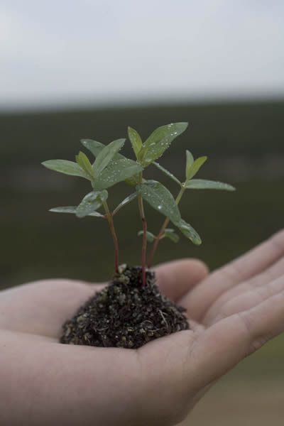 Sustainability